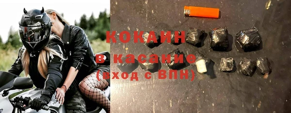 хмурый Алексин