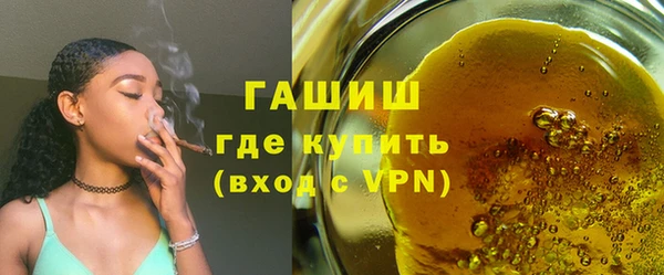 хмурый Алексин
