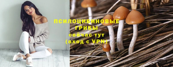 а пвп мука Алзамай