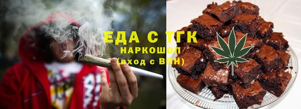 хмурый Алексин